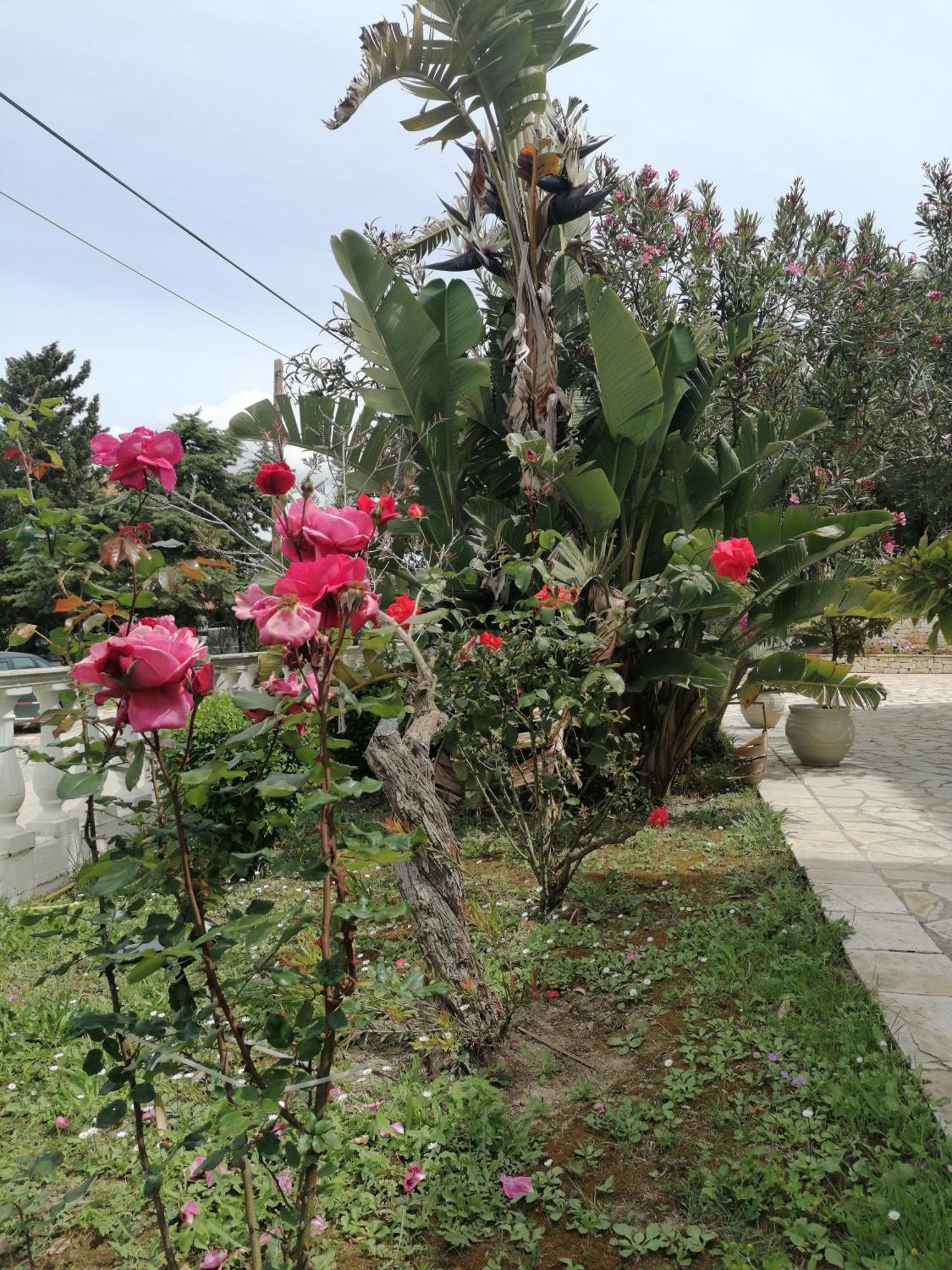 Makis Apartments อาร์ริลลาส ภายนอก รูปภาพ